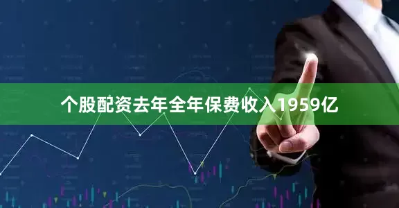 个股配资去年全年保费收入1959亿